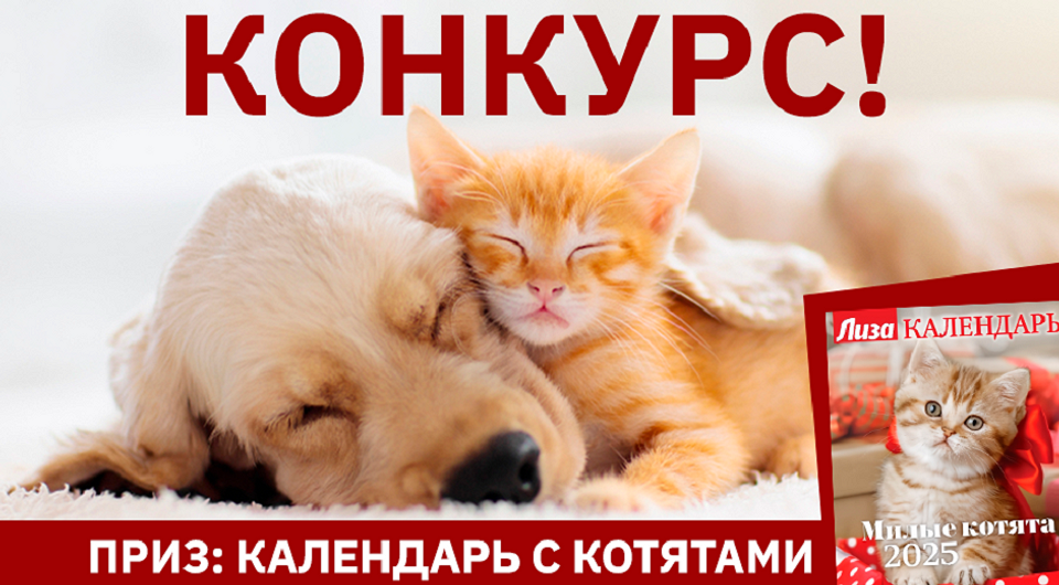 Конкурс! Выиграй календарь от «Лизы»