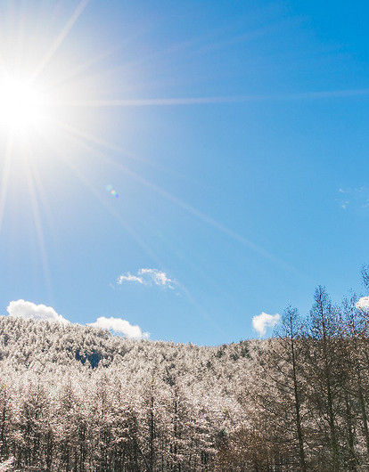 Зимнее солнцестояние 2025 года: когда наступит и какие ритуалы помогут привлечь удачу