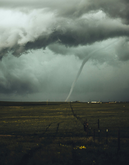 В США унесенное ураганом семейное фото вернули владельцам через 16 лет