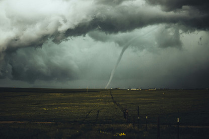 В США унесенное ураганом семейное фото вернули владельцам через 16 лет