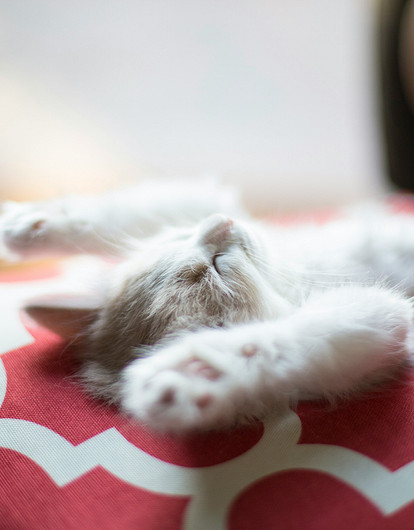 Как научиться спать на спине и чем это так полезно