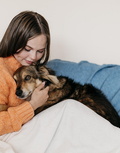 Как понять, что собака беременна: 8 верных признаков