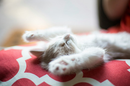 Как научиться спать на спине и чем это так полезно