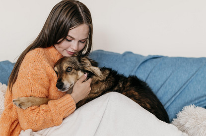 Как понять, что собака беременна: 8 верных признаков