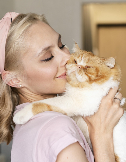 Как дать таблетку кошке без лишнего стресса для всех: 7 лучших способов