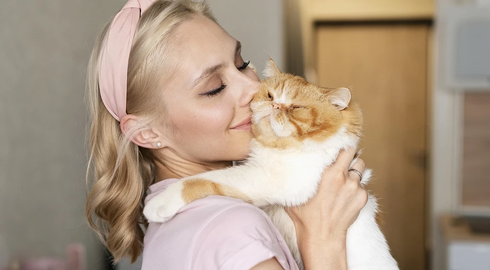Как дать таблетку кошке без лишнего стресса для всех: 7 лучших способов