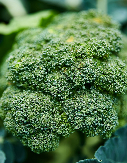 Молодежь нашла неожиданное применение брокколи для макияжа