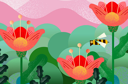 Весеннее обновление: новый раздел на Lisa.ru!