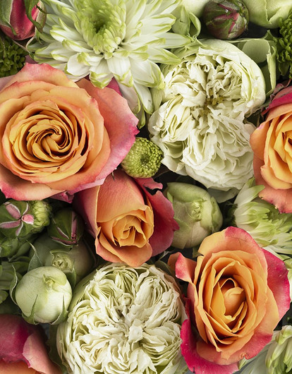 Язык цветов: значение и символика, которые помогут выразить чувства