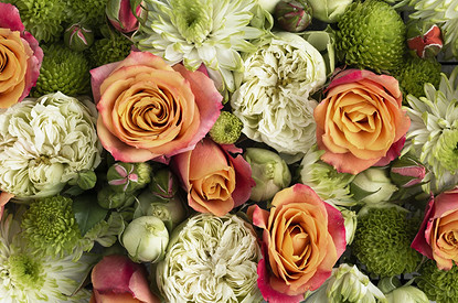 Язык цветов: значение и символика, которые помогут выразить чувства