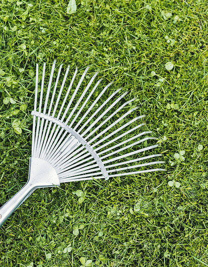 Уход за газоном после зимы: советы по восстановлению идеальной лужайки