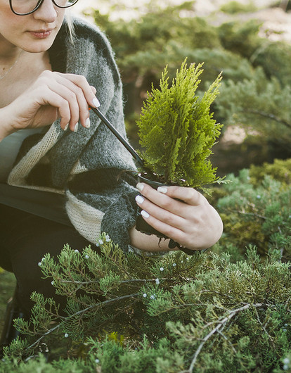 Лунный посевной календарь садовода и огородника на 2024 год: благоприятные дни для посадок