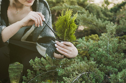 Лунный посевной календарь садовода и огородника на 2024 год: благоприятные дни для посадок