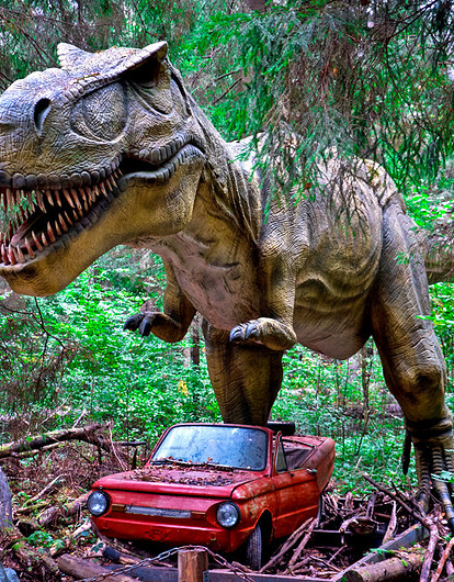 Как провести летние каникулы: нескучные идеи для всей семьи