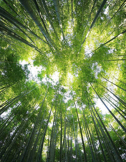 Как сделать отдых на природе максимально полезным для организма: 6 способов