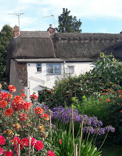Какие цветы посадить летом: создаем красивый сад из многолетников и однолетников
