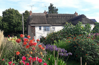 Какие цветы посадить летом: создаем красивый сад из многолетников и однолетников