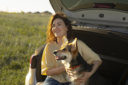 Как путешествовать с собакой без стресса: полезные советы