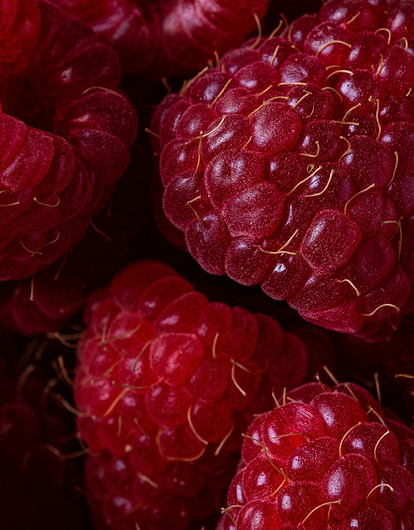 Малина: польза, вред, а также советы по хранению ягоды и вкусные рецепты