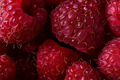 Малина: польза, вред, а также советы по хранению ягоды и вкусные рецепты