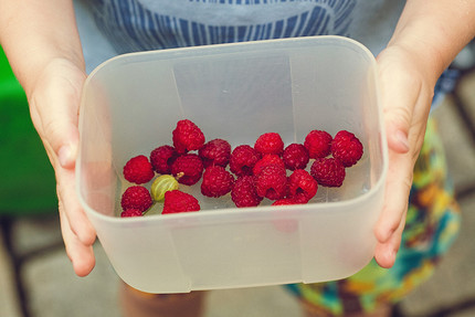 Малина: польза, вред, а также советы по хранению ягоды и вкусные рецепты