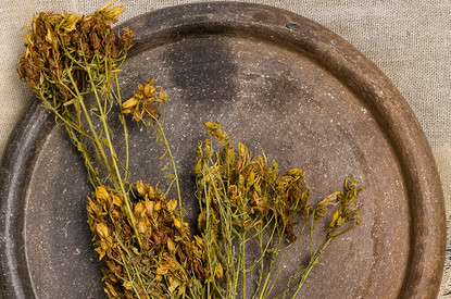 Полынь: магические свойства, как применяют для очищения тела и в других ритуалах