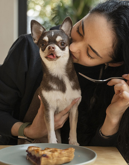 Что нельзя давать собакам: список запрещенных продуктов