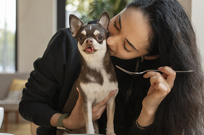Что нельзя давать собакам: список запрещенных продуктов