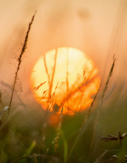 Врач предупредила о фатальных последствиях употребления алкоголя в жару