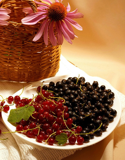 Смородина: польза, вред и 10 необычных рецептов