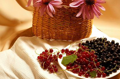 Смородина: польза, вред и 10 необычных рецептов