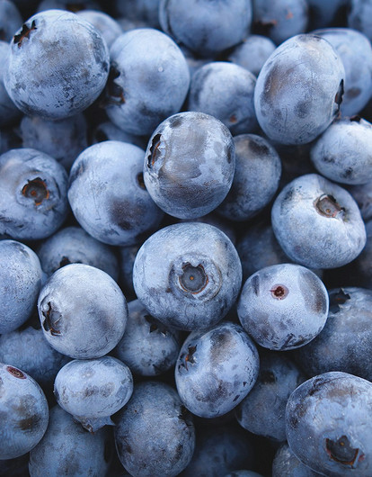 Черника: польза, вред и сколько можно съесть в день без последствий