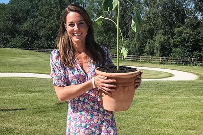 Королевский биограф раскрыл неожиданный малоизвестный факт о Кейт Миддлтон