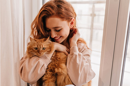 Сколько лет живут кошки в домашних условиях и что на это влияет