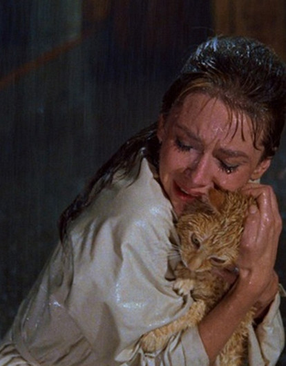 Котомания: как и почему мы с питомцами теряем независимость друг от друга