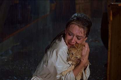 Котомания: как и почему мы с питомцами теряем независимость друг от друга