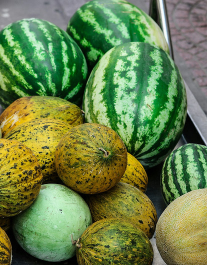 Врач рассказала, что делать при отравлении арбузом или дыней