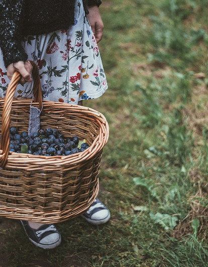 Эндокринолог назвала два продукта, которые очищают кишечник