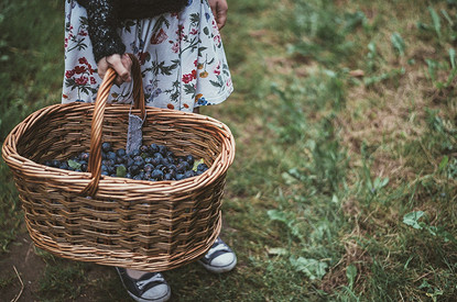 Эндокринолог назвала два продукта, которые очищают кишечник