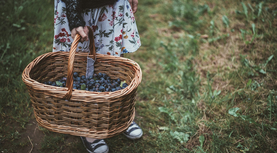 Эндокринолог назвала два продукта, которые очищают кишечник