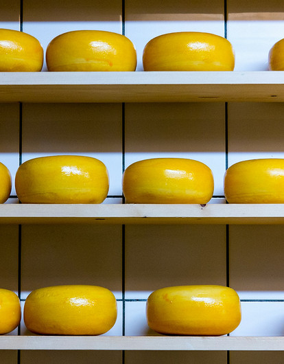 Эксперт рассказал о вреде некоторых видов сыров