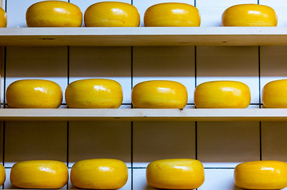 Эксперт рассказал о вреде некоторых видов сыров