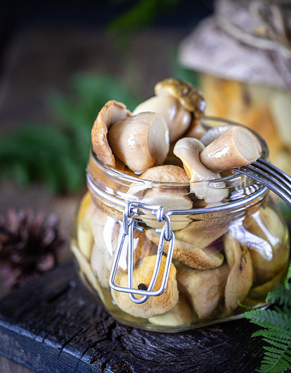 Маринованные грибы: 10 простых и вкусных рецептов на зиму