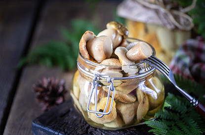 Маринованные грибы: 10 простых и вкусных рецептов на зиму
