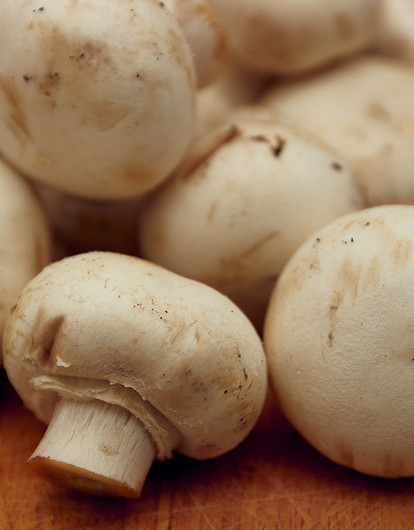 Диетолог раскрыла, как употребление шампиньонов помогает похудеть