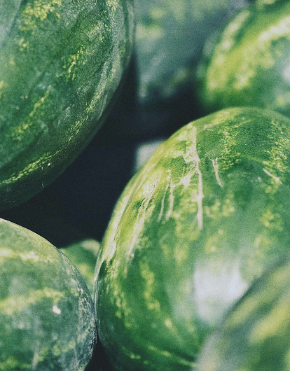 Диетолог Соломатина рассказала, как выбрать безопасный и вкусный арбуз