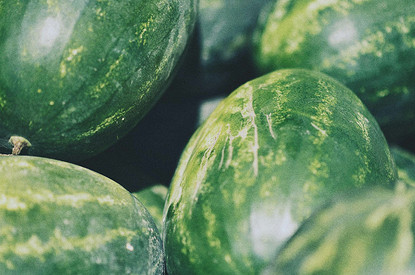 Диетолог Соломатина рассказала, как выбрать безопасный и вкусный арбуз