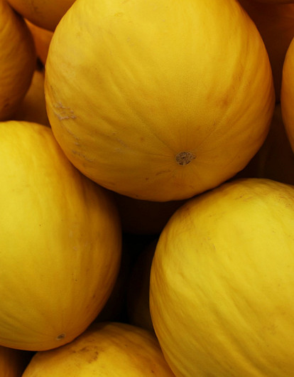 Диетолог рассказала, как выбрать спелую и безопасную дыню