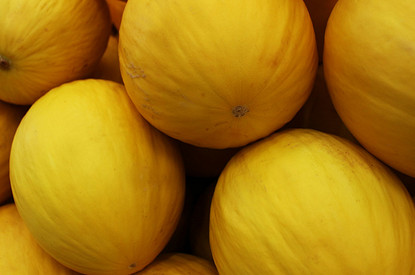 Диетолог рассказала, как выбрать спелую и безопасную дыню
