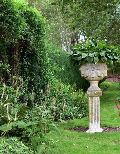 Какие кустарники посадить на участке: 30 лучших вариантов для красоты, пользы и настроения